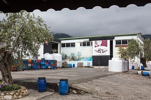 USINE DE PRODUCTION D'HUILE D'OLIVE A ZEYTINLI (VEUT DIRE OLIVIER EN TURC), RIVIERA DES OLIVIERS, NORD D’IZMIR, TURQUIE 