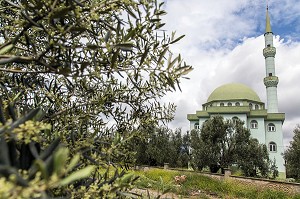 MOSQUEE VERT OLIVE DU VILLAGE DE ZEYTINLI VEUT DIRE OLIVIER EN TURC, RIVIERA DES OLIVIERS, NORD D’IZMIR, TURQUIE 