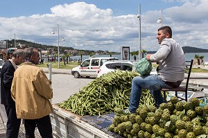 VENDEUR D'ARTICHAUTS SUR SON CAMION, BOULEVARD ATALUK, VILLAGE D’AYVALIK SUR LES BORDS DE LA MER EGEE, RIVIERA DES OLIVIERS, NORD D’IZMIR, TURQUIE 