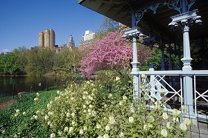 KIOSQUE, CENTRAL PARK, MANHATTAN, NEW YORK, USA 