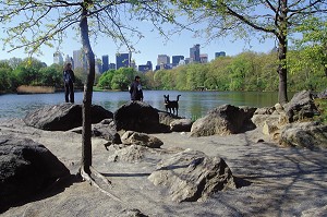 PROMENEUR AUX BORDS DU LAC, CENTRAL PARK, MANHATTAN, NEW YORK, USA 