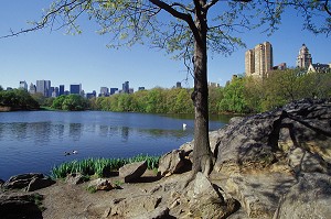 LES BORDS DU LAC, CENTRAL PARK, MANHATTAN, NEW YORK, USA 