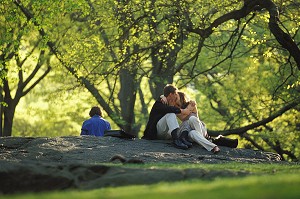 COUPLE D'AMOUREUX SUR LES ARBRES DE CENTRAL PARK, MANHATTAN, NEW YORK, USA 