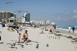 MERE ET SA FILLE DONNE DE LA NOURRITURE AUX MOUETTES, MIAMI BEACH, SOUTH BEACH, FLORIDE, FLORIDA, ETATS-UNIS, USA 