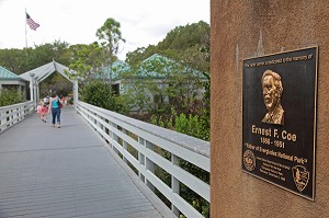 PARC NATIONAL DES EVERGLADES, FLORIDE, AMERIQUE 