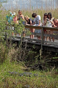 PARC NATIONAL DES EVERGLADES, FLORIDE, AMERIQUE 