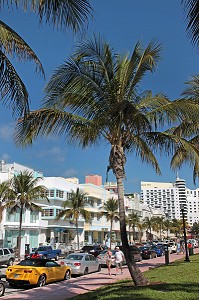 DECOUVERTE TOURISTIQUE DE LA FLORIDE, USA 