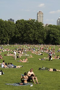 PELOUSES DE CENTRAL PARK, ESPACE VERT SITUE DANS LE QUARTIER DE MANHATTAN, NEW YORK, ETAT DE NEW YORK, ETATS-UNIS 