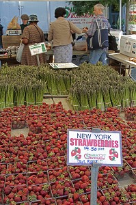 VENTE DE FRAISES AU MARCHE BIO, UNION SQUARE, MANHATTAN, NEW YORK CITY, ETAT DE NEW YORK, ETATS-UNIS 
