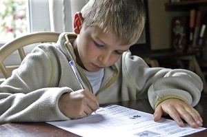 DEVOIR D'ECOLE A LA MAISON (TRAVAIL SCOLAIRE) 