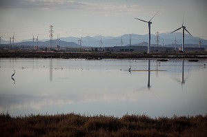 MARAIS AVEC USINES ET EOLIENNES EN FOND, SARDAIGNE, ITALIE 