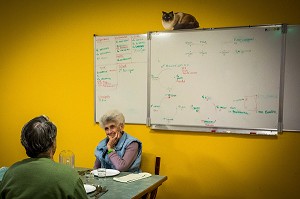 ILLUSTRATION MAISON DE RETRAITE, PERSONNE AGEE PRENANT SON REPAS DANS LA SALLE A MANGER EN COMPAGNIE D'UN PENSIONNAIRE 