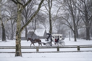 CALECHE DANS CENTRAL PARK UN JOUR DE NEIGE, MANHATTAN, NEW-YORK, ETATS-UNIS, USA 