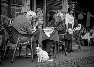 COUPLE A UNE TERRASSE REGARDANT UN CHAT BLANC, LARGO DO CORPO SANTO, FUNCHAL, MADERE, PORTUGAL 