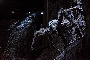 ARAGOG, ARAIGNEE GEANTE, STUDIO HARRY POTTER, THE MAKING OF HARRY POTTER, WARNER BROS, LEAVESDEN, ROYAUME-UNI, GRANDE-BRETAGNE, EUROPE 
