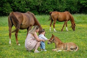 MERE ET SON ENFANT DEVANT UN POULAIN DANS UN PRE, DECOUVERTE DES CHEVAUX, RUGLES, NORMANDIE 