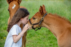 JEUNE FILLE QUI EMBRASSE UN JEUNE POULAIN AU PRE, NORMANDIE 