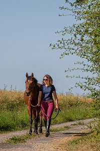 BALADE COMPLICE ENTRE UNE JEUNE FEMME ET SON CHEVAL, NORMANDIE 