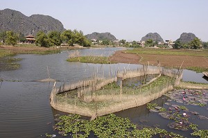 RIZIERE DANS LE NORD DU VIETNAM, VIETNAM 